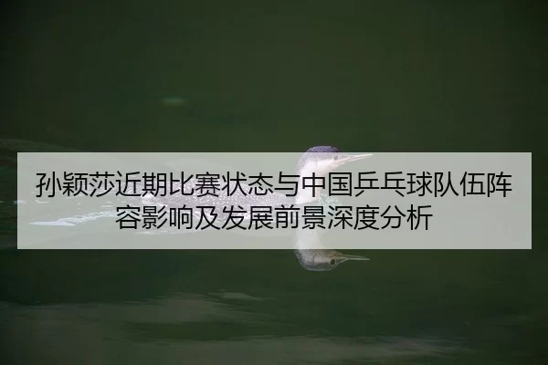 sun-ying-sha-jin-qi-bi-sai-zhuang-tai-yu-zhong-guo-ping-pang-qiu-dui-wu-zhen-rong-ying-xiang-ji-fa-zhan-qian-jing-shen-2-619.jpg